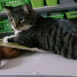 Meet your Posher, Christina